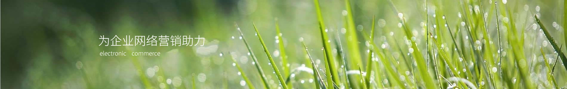 ݰټѹܵϴ޹˾